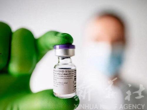 印度关于辉瑞最新爆料,真相与争议再起