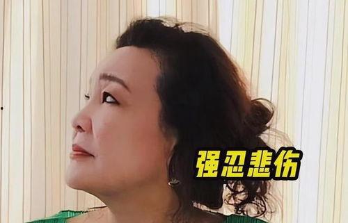 孟贺爆料视频最新版下载,揭秘事件背后惊人真相